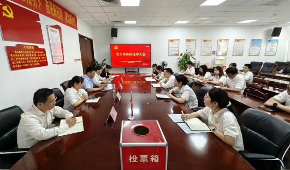 Z6尊龙凯时公司召开党支部换届选举大会